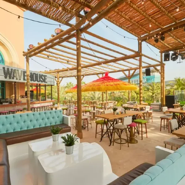 Atlantis The Palm Wavehouse