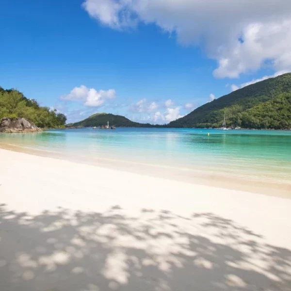 Constance Ephelia North Beach