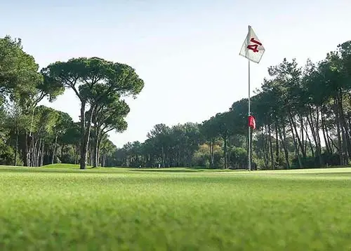 ROBINSON Nobilis Spring Week